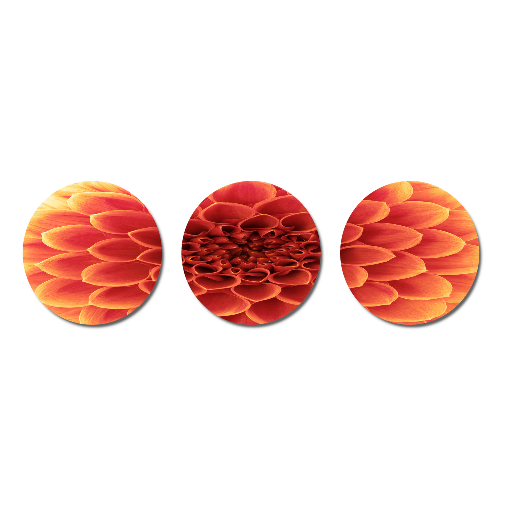 Red Barrel Studio® 3 Piece Flower with Dense Petals Wall Décor Set