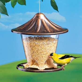 Wayfair | Bird Feeders You'll Love in 2022