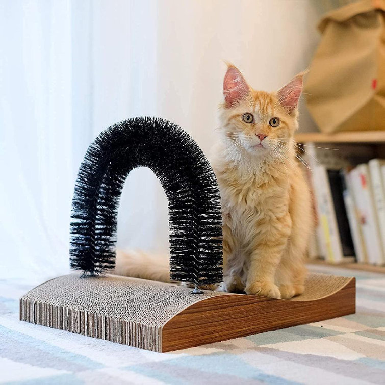 self cat scratcher