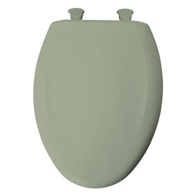 Seafoam Green Toilet Seat | Wayfair