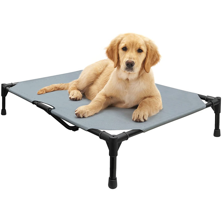 coolaroo dog bed