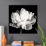 Tulipa Double Black White by Cora Niele - Floater Frame Photograph Print Canvas