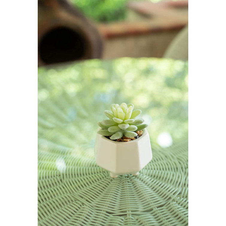 Decorative Artificial Fake Succulent House Plant in Hexagon Grey Concrete Pot 
