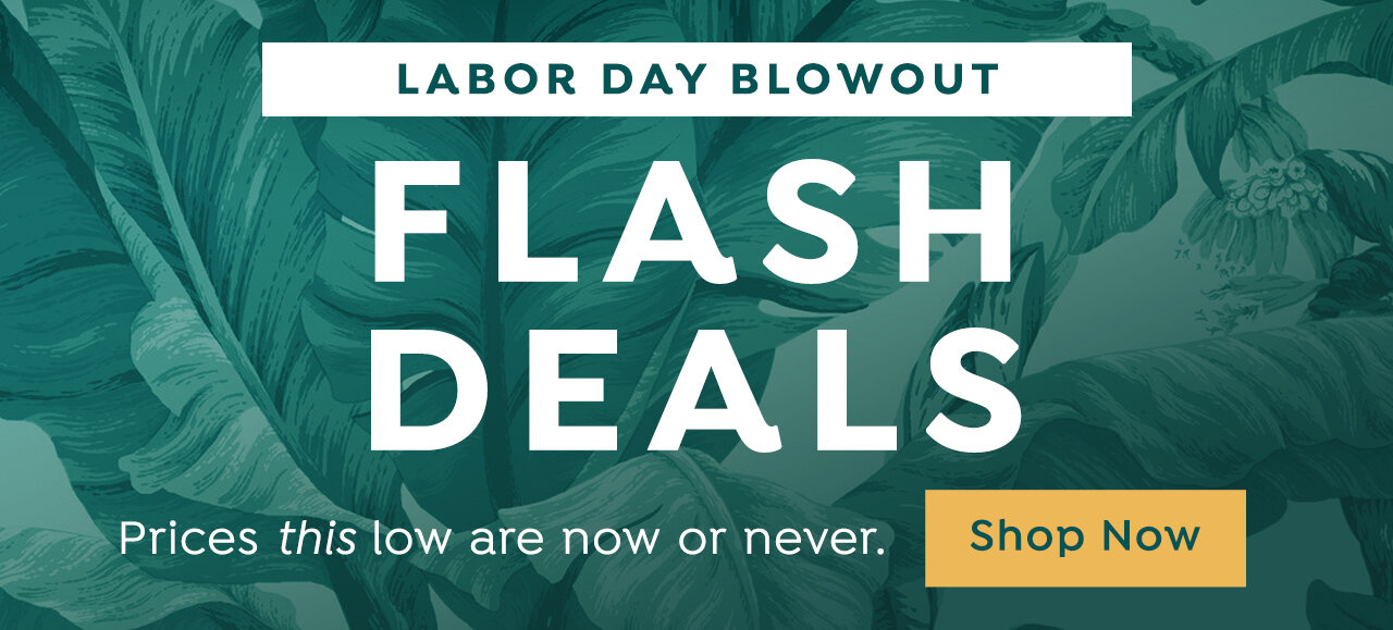 Shop Flash Deals