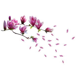Elegant Perfect Roses wall transfer doors window wall stickers decal 45cm x 90cm