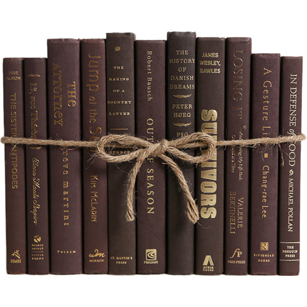 Booth Williams 12 Piece By Color Modern Coffee Colorpak Authentic Decorative Books Set Reviews Wayfair