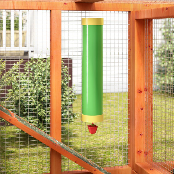 Archie Oscar Greta Poultry Feeders And Waterers Reviews Wayfair