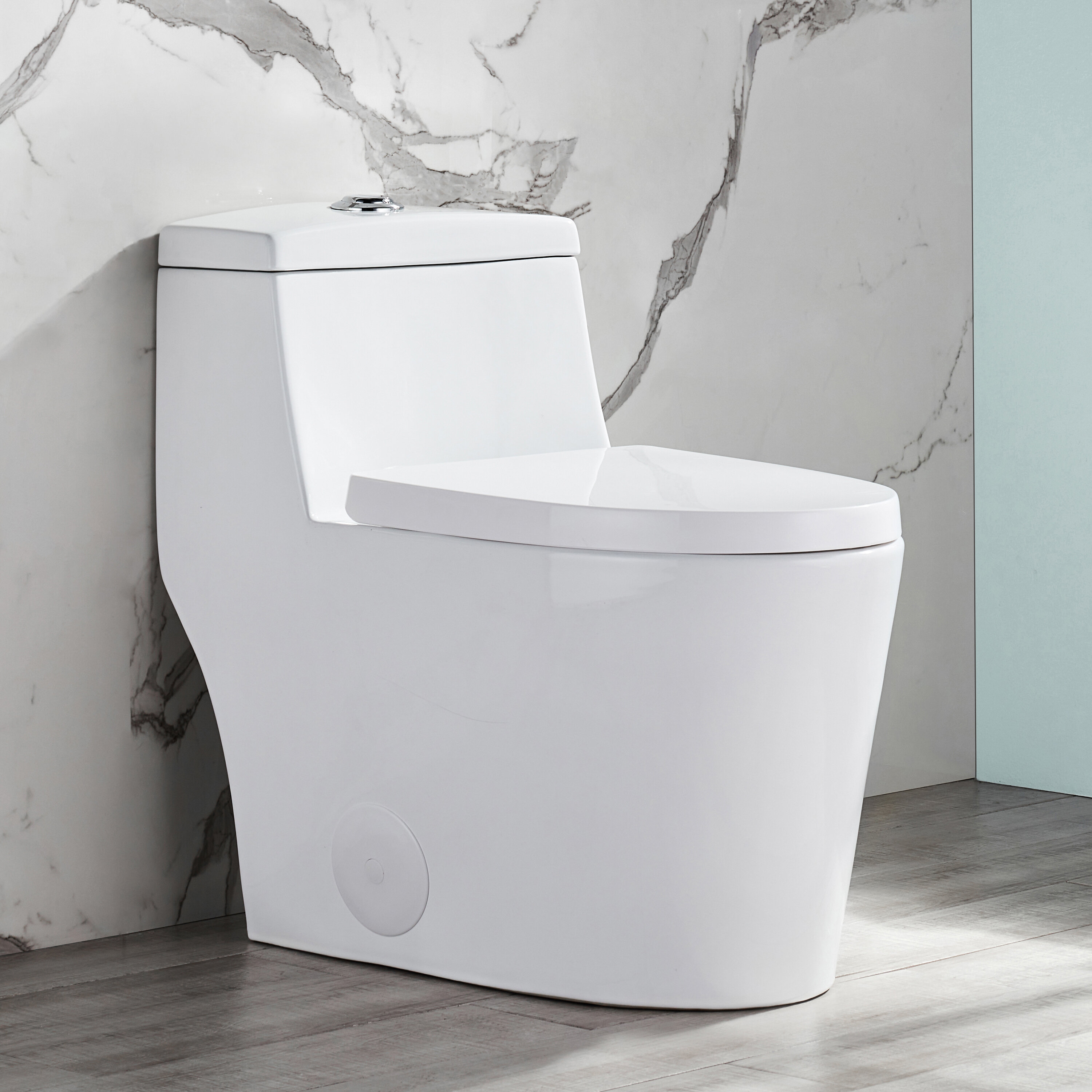 Deervalley Dual Flush Elongated One Piece Toilet With Glazed Surface Seat Included Reviews Wayfair