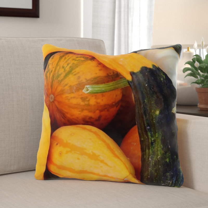 The Holiday Aisle Warrnambool Pumpkin Indoor Outdoor Throw Pillow Wayfair