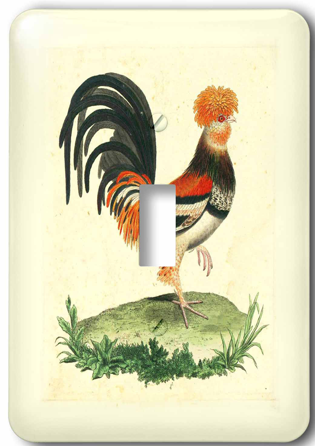 3drose French Rooster 1 Gang Toggle Light Switch Wall Plate Wayfair