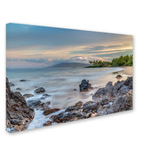 Maui Wall Art You Ll Love In 2021 Wayfair