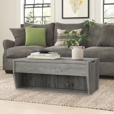 Lateafa Lift Top Floor Shelf 1 Coffee Table with Storage