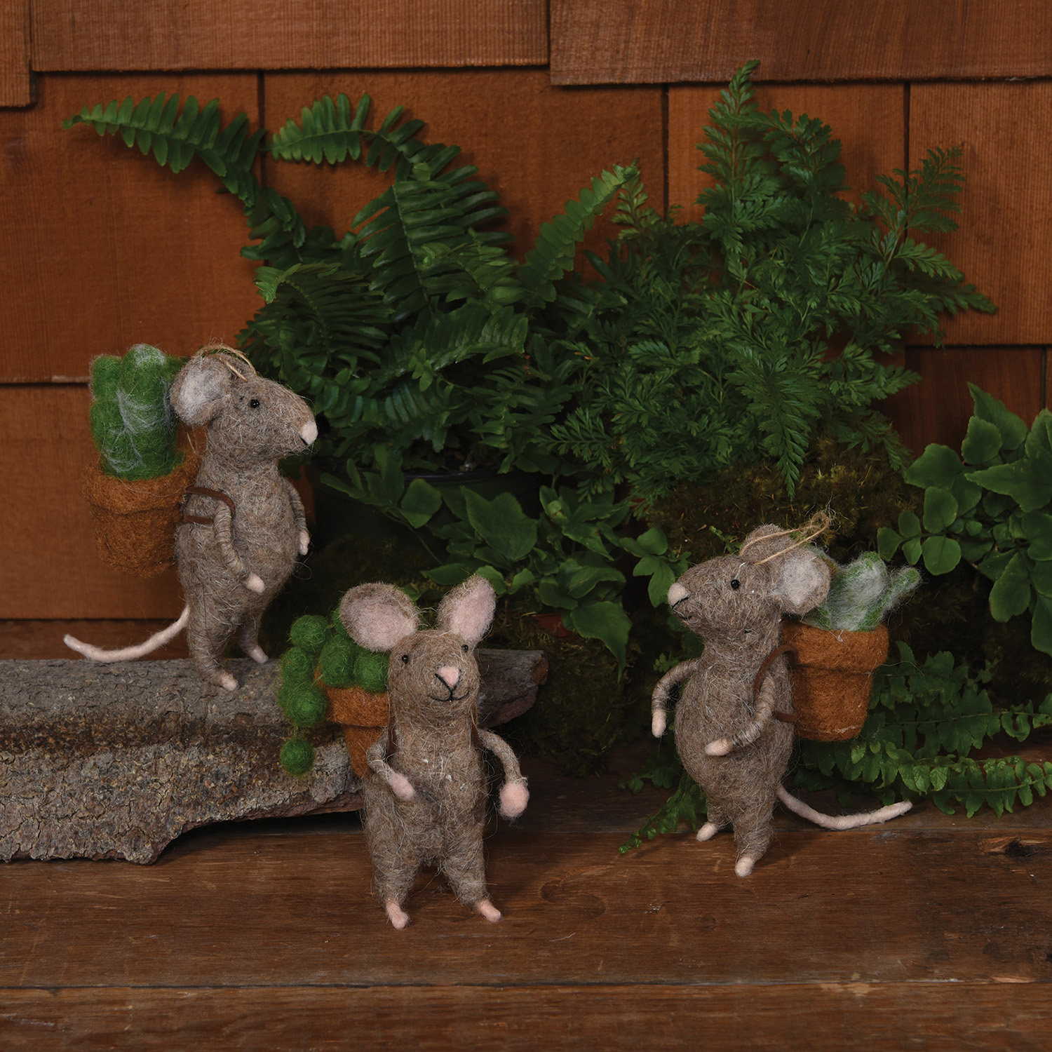 3 Piece Mice With Succulent Hanging Figurine Ornament Set Joss Main