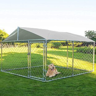 dog enclosure outdoor