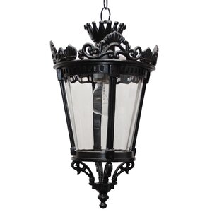 Worrell 1-Light Outdoor Hanging Lantern