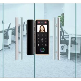 Smart Glass Door Lock With Face Recognition Fingerprint Passcode Mobile App And Card Unlocking Mode