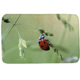 Pale Green Red,Anti-Skid Area Rug U Shaped Nonslip Home Washroom Decor Shower Accessories Ladybugs,Flower Frame with Tiny Little Ladybugs and Swirl Branches Springtime Theme