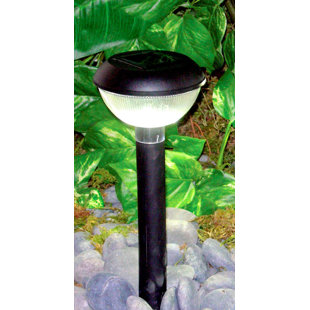 Best Solar 1-Light Pathway Light (Set of 12) By Homebrite Solar Outdoor Lighting Solar 1-Light Pathway Light (Set of 12) By Homebrite Solar Outdoor Lighting