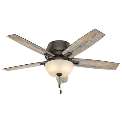 Hunter Fan 52 Donegan 5 Blade Ceiling Fan Light Kit Included