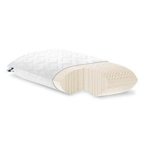 Zoned Dough Z High Loft Plush Memory Foam Pillow by Malouf