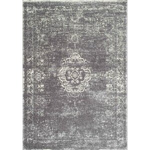 Burdge Gray Area Rug