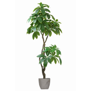 silk tree warehouse coupon