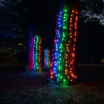 preambule Wonder huisvrouw Wayfair | Net Christmas Lights You'll Love in 2023