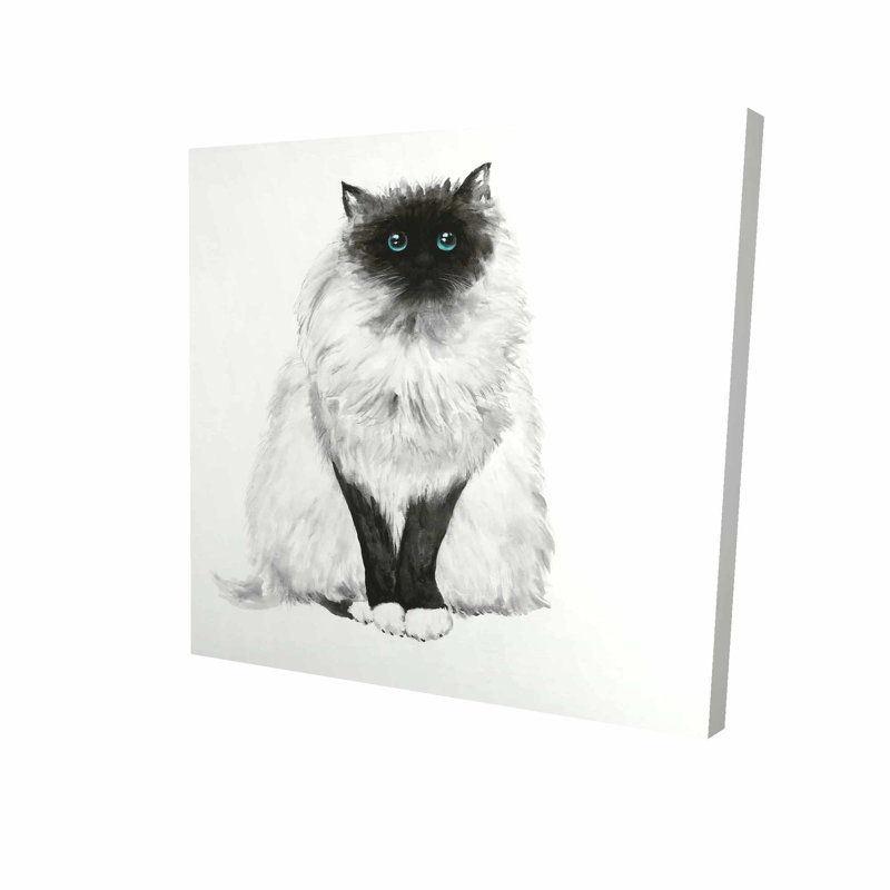 Winston Porter Eyes Fluffy Siamese Cat Oil Painting Print On