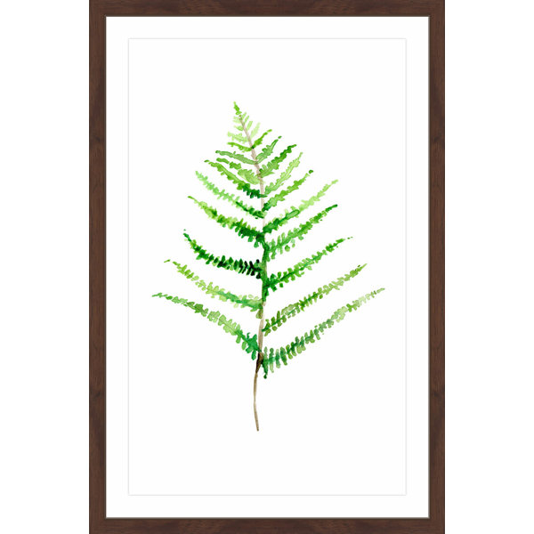 Marmont Hill Thin Fern Leaf By Michelle Dujardin Framed Painting