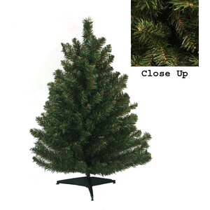 2' Green Pine Artificial Christmas Tree with Stand