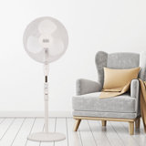 Decorative Floor Fans Wayfair