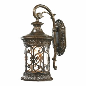 Orlean 1-Light Outdoor Wall Lantern