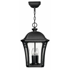 Wabash 3-Light Outdoor Hanging Lantern