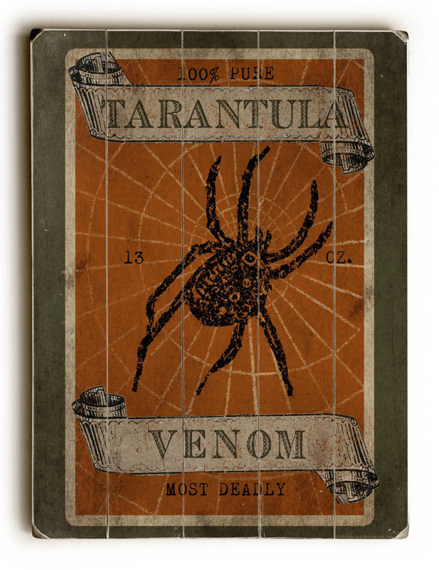 Tarantula In California Kitchen Tarantula In California Kitchen