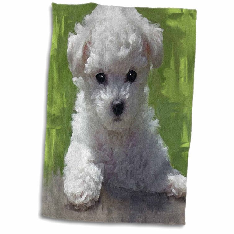 bichon frise stuff