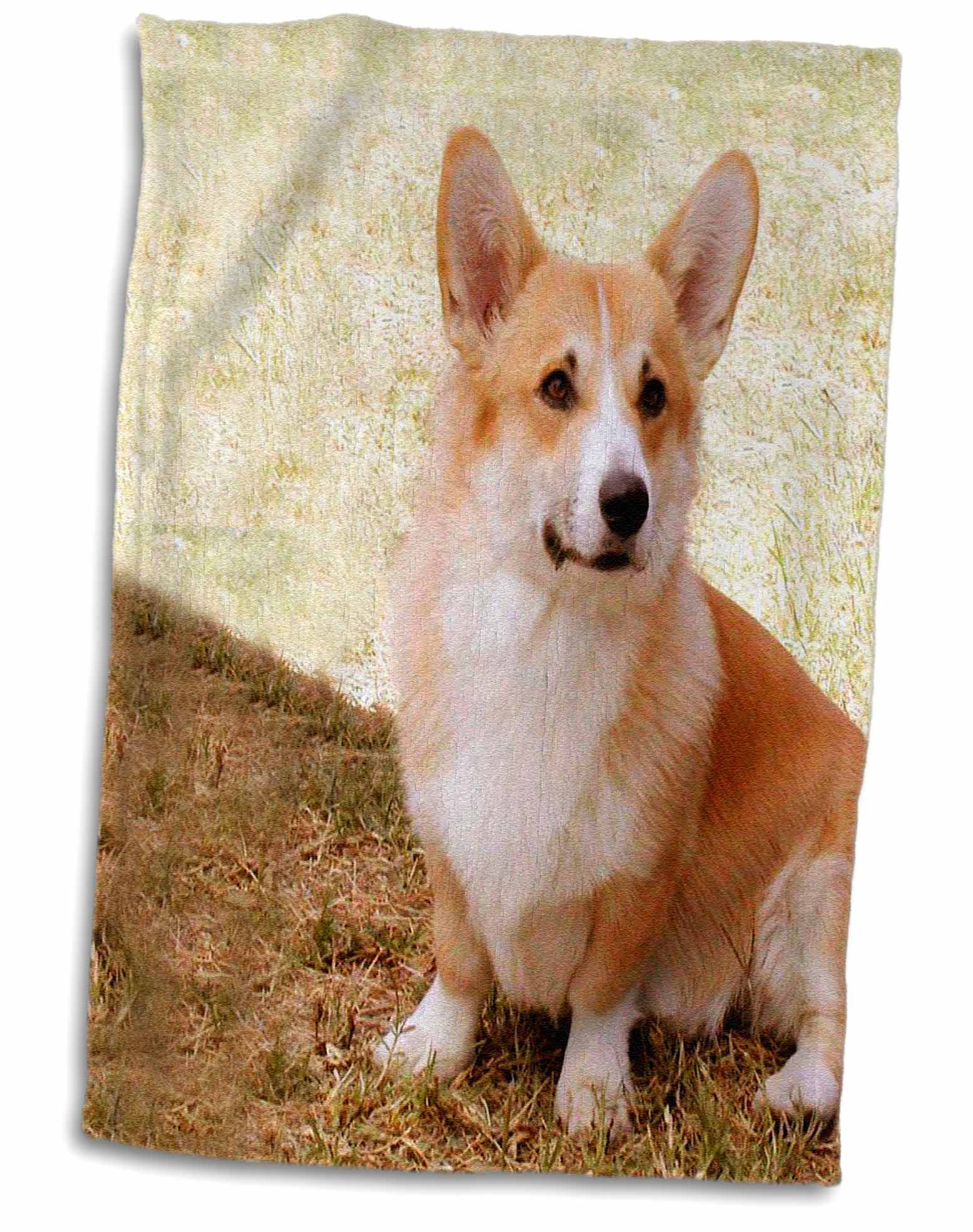 corgi towel