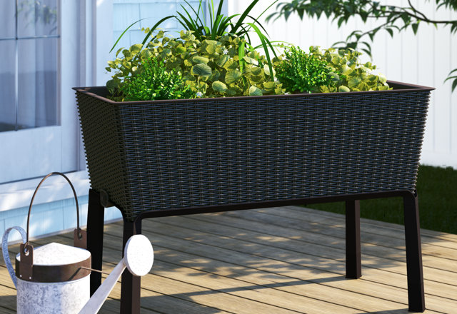 Raised Garden Beds You'll Love