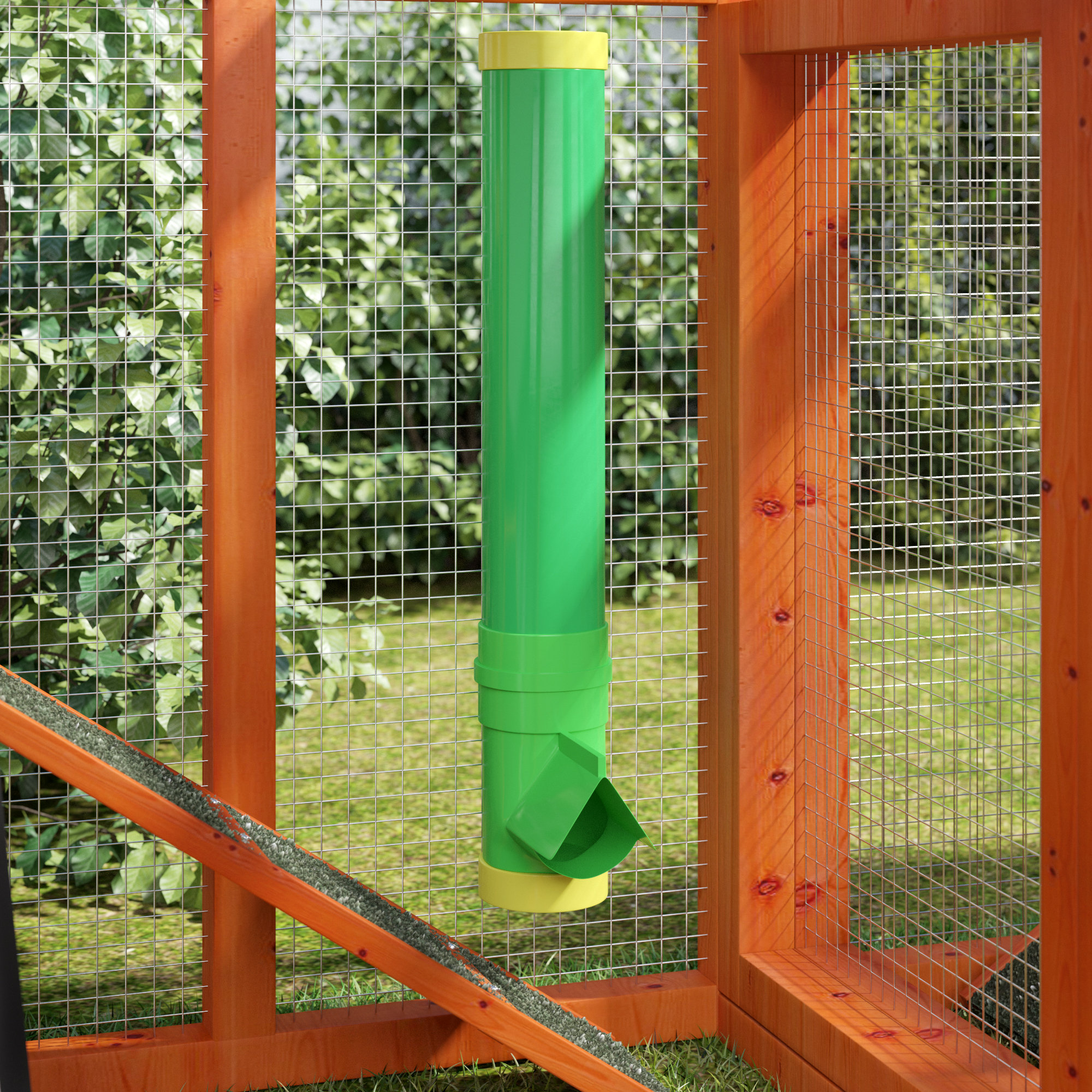 Archie Oscar Gracie Precious Poultry Feeder And Waterers