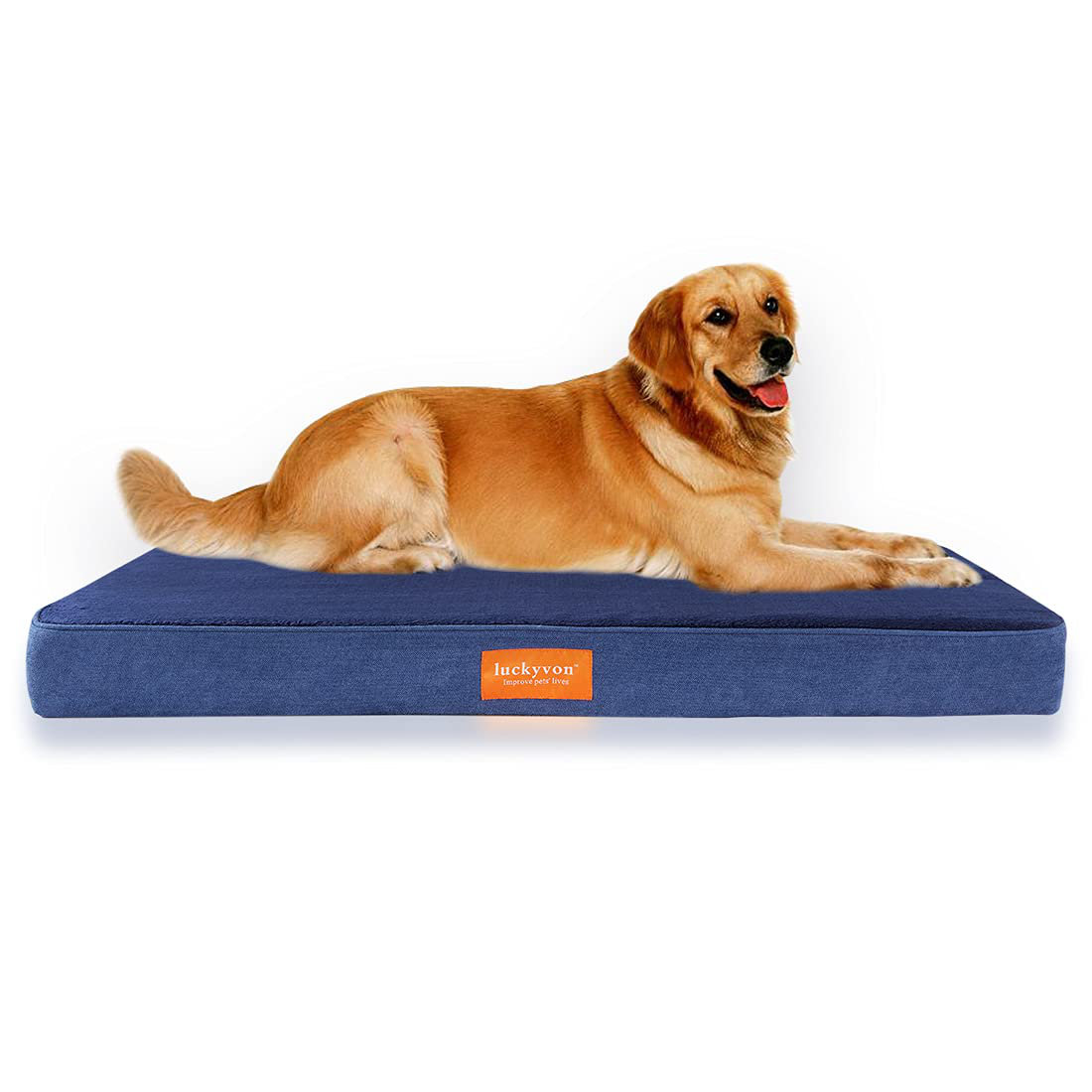 large durable dog bed