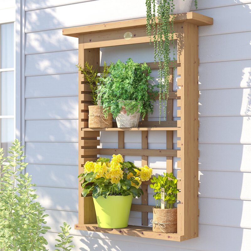 Sol 72 Outdoor™ Camellia Wood Wall Planter with Trellis & Reviews | Wayfair