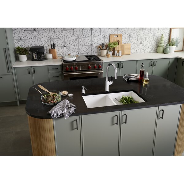 Double Sink One Piece Sink Wayfair