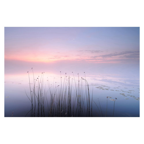 Idyll on the Lake 2.9m x 4.32m Textured Matt Peel & Stick Wall Mural East Urban Home