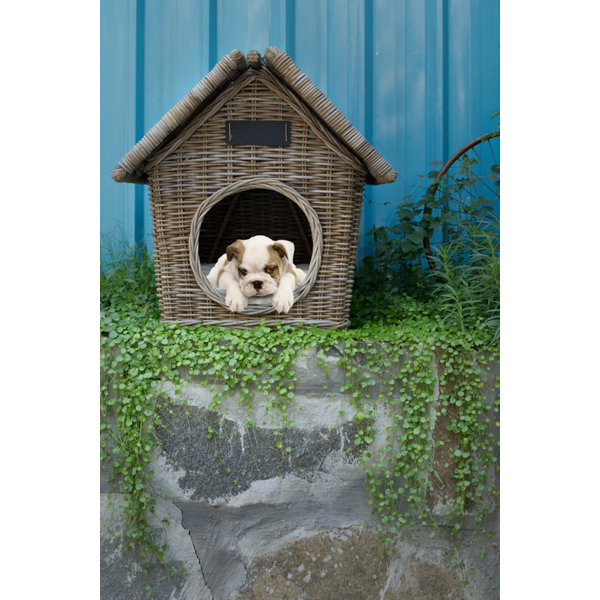 Tucker Murphy Pet Owings Snoopy Dog House Wayfair