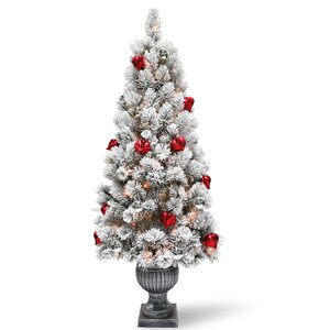 Snowy Bristle Entrance 5' Frosted Green Pine Artificial Christmas Tree
