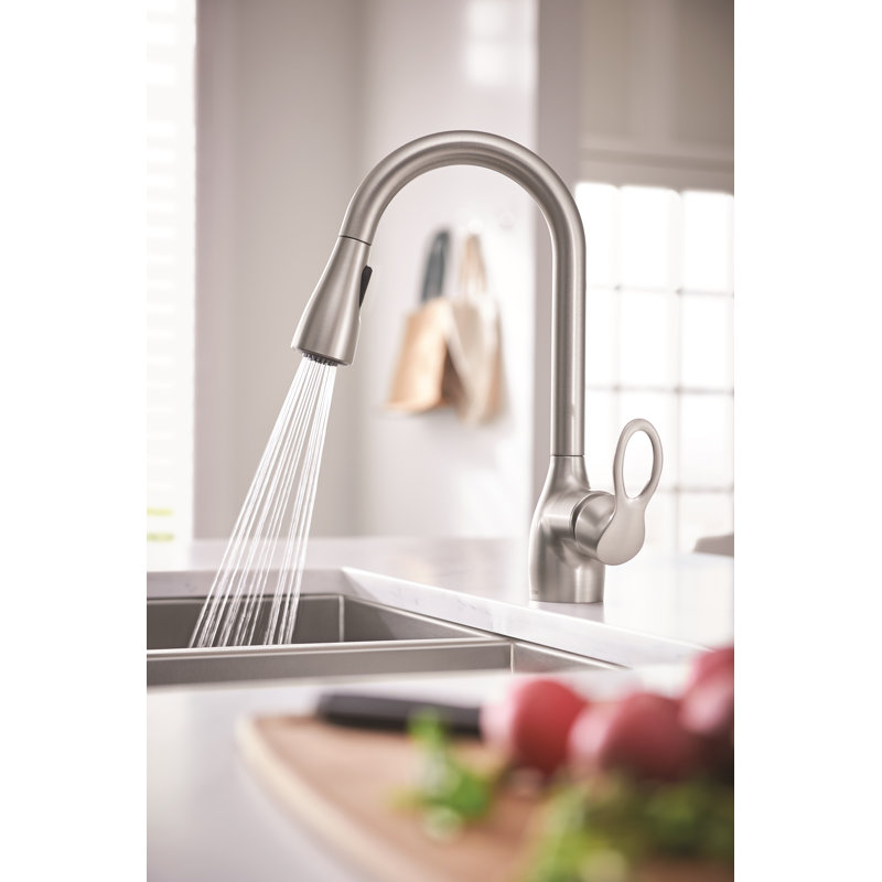 Moen Kleo Single Handle Kitchen Faucet With Reflex And Duralock