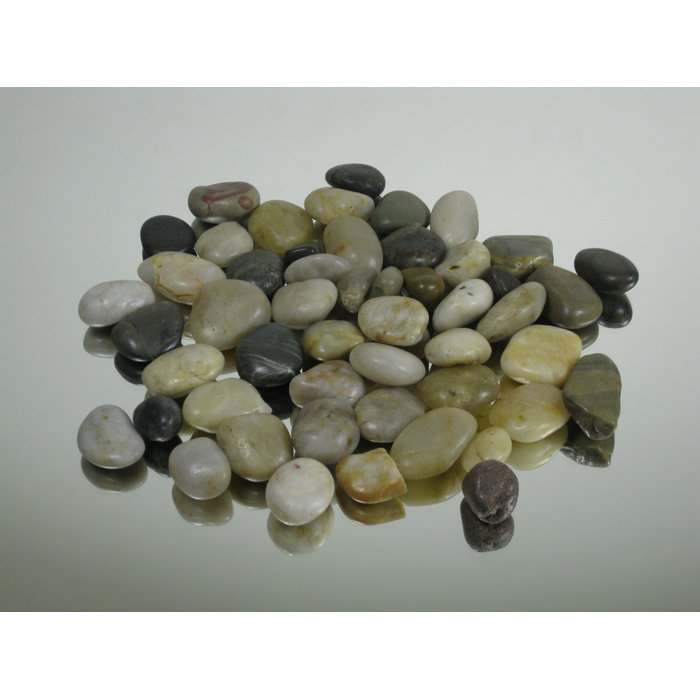 Wrought Studio Decorative River Rocks Vase Fillers Reviews Wayfair