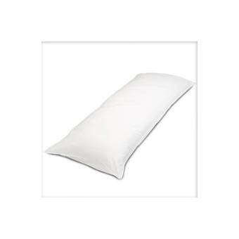 Alwyn Home Goodlett Goose Plush Down Blend Body Pillow Reviews