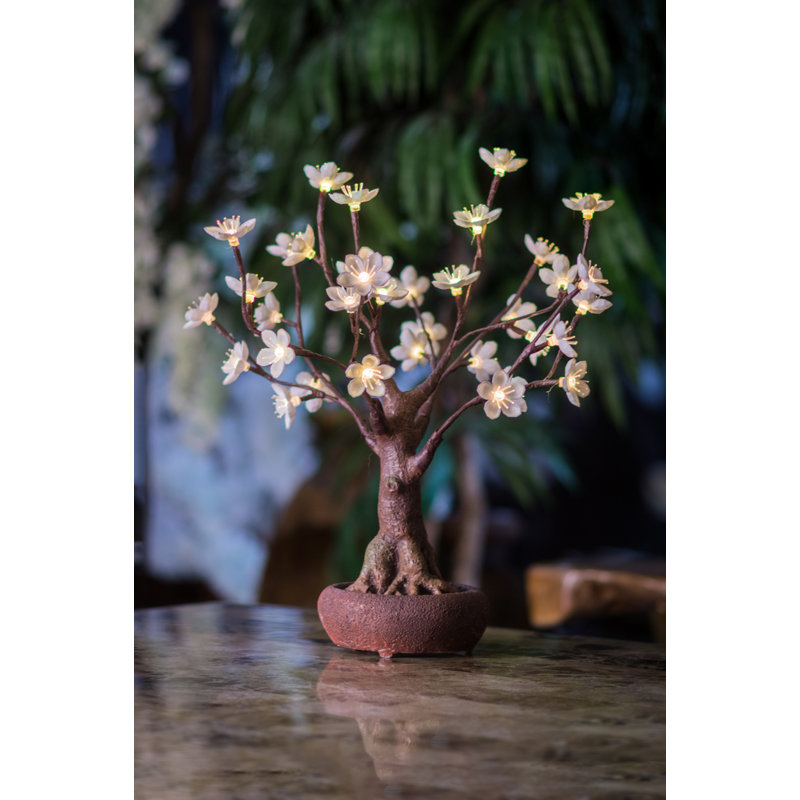 Hi-Line Gift Ltd. Bonsai Tree with Flower 36 Light LED Lighted Tree &amp; Reviews | Wayfair