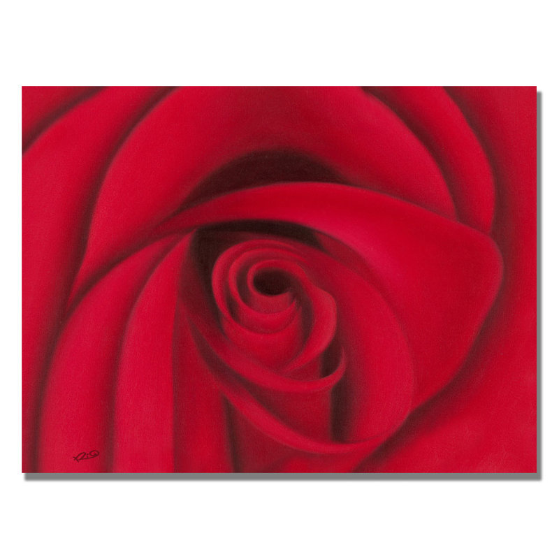 Trademark Art Red Rose By Rio Painting Print On Canvas Reviews
