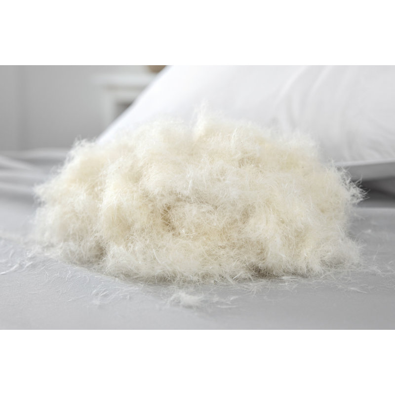 Alwyn Home Archibald Soft Down And Feather Standard Pillow
